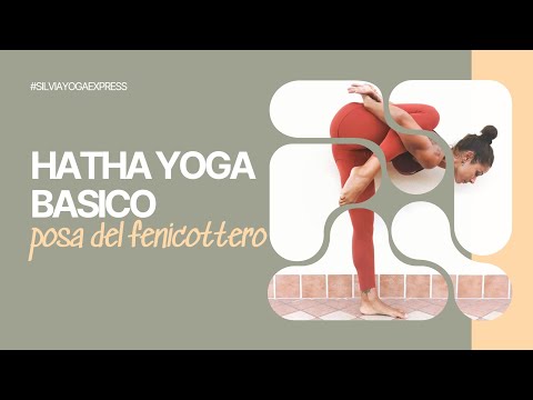 Hatha Basico – Fenicottero